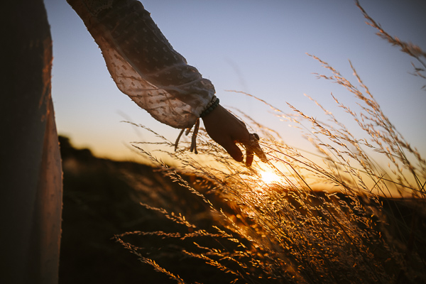 User's Profile Image